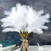 Dekorativa blommor 60 cm fluffiga konstgjorda pampas gräsbukett vass boho falsk växt bröllop fest dagligen phragmites dekoration po prop