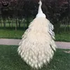 Trädgårdsdekorationer högkvalitativ simulering verklig som vit stående påfågel stor dekorativ djurhantverk realistisk konstgjord leksak