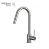 Kitchen Faucets Cabinets Design Faucet Chrome Sink Taps Flexible Neck Sprayer Pull Out