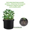 Planters krukor 5st 3 4 5 7 10 gallon kände odla väskor trädgårdsskötsel tygsgrönt grönsaker jordgubbe växande planter trädgård potatis plantering 231027