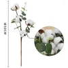 Decorative Flowers 3pcs Cotton Stems 4 Heads Eucalyptus Leaves Per Stem Floral For Fall Home Farmhouse Decor