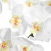 Flores decorativas 4 pçs 38 Polegada orquídeas de contato real artificial 9 cabeças látex phalaenopsis hastes para peças centrais do casamento diy