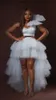 Runway Dresses Chic 2021-2022 Shiny Ruffles Tiered Tulle Skirts Women To Party Puffy High Low Long Sparkle Tulle Dresses Female Bottom T231027