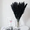 Flores decorativas 30 peças grama de pampas naturais buquê de flores secas boho decoração de quarto de casa cauda cana festa de casamento adereços po