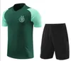 23/24 Algeriet Tracksuit 2023/2024 Mahrez Short Sleeved Soccer Jerseys Algerie Bounedjah Survetement Maillot de Foot Feghoul Sportwear Football Train Suit