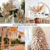 Dekorativa blommor 80 cm Pampas gräs Stor hög fluffig torkad boho dekor växt för vasblommor arrangemang hem bröllop