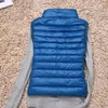 Gilet da donna Piumino invernale ultraleggero senza maniche Piumino d'anatra bianco Gilet caldo Gilet Capispalla Cappotti per donna