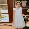 Girl Dresses Cute Flower For Wedding Big Bow Appliques Lace Little Pageant Gowns Girls First Communion Weddings