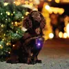 Piesowe kołnierze PopetPop 4PCS Portable aluminium Pet Cat Puppy Flashing Flasher Blinker Light Safety Flar (czerwony niebieski fioletowy róż)