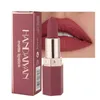 Lippenstift Handaiyan 6 Farben Matt Wasserdicht Samt Nude Sexy Rotbraun Pigmente Make-up Langanhaltend Profissional 231027