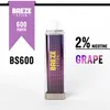 Breze Stiik BS600 Descartáveis E Cigarros King Max Puff 600 Descartáveis Vape Pré-preenchido 2ml 500mAh Bateria TPD compatível para o mercado da UE