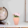 Vaser Blomma arrangerar containerglasflaska Vase grön dekorativ terrarium prydnad jordgubbe liten hem