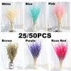 Decorative Flowers 25/50PCS Real Wheat Ear Grass Decoration Natural Pampas Tail Dried For Wedding Party Craft Bouquet