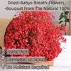 Dekorative Blumen 2500 roter getrockneter Schleierkraut – atemberaubender natürlicher Schleierkraut-Blumenstrauß für Heimdekoration, Hochzeiten und DIY-Blumenprojekte