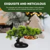 Decorative Flowers Realistic Potted Sashimi Decoration Artificial Indoor Plants Fake Pine Tree Statue