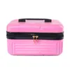 Makeup Bag Small Bekväm mini Box Ladies 14 Inch Multifunktionell förvaringstvätt Bag Makeup Case Hard Case Bärande fall 231015