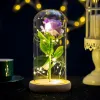 NOUVEAU Rose dure éternellement avec des lumières LED dans un dôme de verre Saint Valentin Anniversaire de mariage Cadeaux d'anniversaire Décoration de fête 5 couleurs FY2498