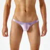 Underpants Silky Transparent Ultra Thin Glossy Low Waist Mens Thong T Pants . Valentines Day Lingerie Men