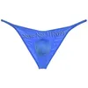 UNDUTS MENS BUZ İLE BIKINI BRIPS HIPSSTER Brazilain Pucker Pants iç çamaşırı 231027