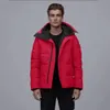 Canda Goose Jacket Дизайнерские парки Мужская верхняя одежда Зимние пальто из гусиного пуха Спорт на открытом воздухе Белая утка Ветровка с длинным воротником Шляпа 1281 крыжовник