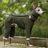 Одежда для собак, модная одежда для домашних животных, зимняя водолазка, уиппет, плюшевое пальто для итальянской борзой, Gree Bedlington, маленькая и средняя куртка 231027