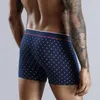 Calzoncillos 4 Uds Boxers bragas para hombre Boxer ropa interior de algodón para hombre lote de gran tamaño suave 231027