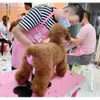 Dog Apparel Auxiliary Standing Bracket Magic Ladder Pet Groomer Fixed Tools Care Small Bench Soft Silicone 231027