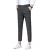 Pantalons pour hommes Été Automne Stripe Costume Hommes Mince Business Classique Gris Clair Noir Droit Coréen Pantalon Formel Mâle