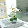 Fleurs décoratives plante colorée bonsaï en plastique Phalaenopsis Pot fausse fleur en Pot ornements pour la maison chambre Table décoration de jardin