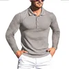 T-shirt da uomo Polo sportiva a maniche lunghe da uomo T-shirt fitness con risvolto traspirante lavorata a maglia alla moda T-shirt da uomo a righe taglia europea americana