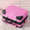 Bagage Case Female Portable Cosmetic Case Tool Cosmetic Bag Cosmetic Manicure Storage Box 14 tum 231015