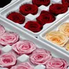 Flores decorativas 3-5cm cabeça de rosas preservadas presente romântico material diy rosa natural eterna real flor imortal decoração de casa