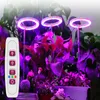 Grow Lights5V LED USB Angel Ring Plant Light for Jubulent Full Spectrum Phyto Lamp屋内花温室苗