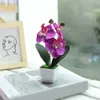 Fleurs décoratives plante colorée bonsaï en plastique Phalaenopsis Pot fausse fleur en Pot ornements pour la maison chambre Table décoration de jardin