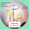 Cultiver des lumières plante lumière succulente remplissage Led anneaux ménagers plantes tige maison intérieur spectre complet lampe