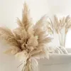 Faux Floral Verdure 80 cm Grande Herbe de Pampa Fleurs Séchées Naturelles Bouquet pour Mariage Décoration de Noël Phragmites Moelleuses Boho Live Home 80 cm La 231027