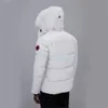 Canda Goose Jacket Дизайнерские парки Мужская верхняя одежда Зимние пальто из гусиного пуха Спорт на открытом воздухе Белая утка Ветровка с длинным воротником Шляпа 1281 крыжовник