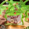 Sacos de presente de Natal com alças Bolsa de plástico com zíper Bolsa exclusiva de doces de Feliz Natal com janela frontal transparente para lembrancinhas de festas de fim de ano