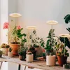 Lampes de culture avec Interface USB, anneau d'ange, lumière de croissance des plantes, luminosité réglable, fonction de synchronisation, LED pour Cactus succulents