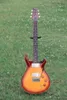 HOT SELL GODKVALITET ELEKTOR GUITAR 2008 DGT David Grissom Tremelo Signature Model (1375) Musikinstrument