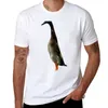 Männer Polos Lange Boi Ente T-Shirt Koreanische Mode Schnell Trocknende Hemd Sport Fan T-shirts Mann Kleidung Herren T Shirts