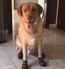 Sapatos de proteção para animais de estimação 4pcsset esporte cão para cães grandes botas de chuva ao ar livre antiderrapante filhote de cachorro correndo