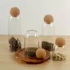 Aufbewahrungsflaschen, kugelförmiger Kork, transparentes Glas, versiegelter Barbehälter für Obsttee, große Mundflasche
