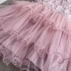 Girl Dresses Dress Sleeveless Puffy Summer Princess Beautiful Lace Mesh Fashion Pleated For Party