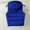 Gilet pour hommes détachable Down Parkas designer doudounes veste trapstar Parka d'hiver veste d'impression de lettre pour femmes Couples vêtements couple manteau épais