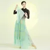 Stage Wear Costume de danse classique de style traditionnel chinois Vêtements nationaux féminins Vêtements de performance de pratique élégants