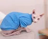 Costumi per gatti Morbidi Sfinge Vestiti senza peli Gattini per animali domestici Felpe con cappuccio Camicia Sphynx Devon Rex Autunno