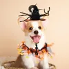 Kattenkostuums Motorkap Krullend haar Huisdier Halloween Decoratie Halsband Verstelbare halsbanden Pluche nek