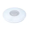 Ceiling Lights LED Light 60W Smart Remote Control Round Lamp WiFi RGB Mounted Bluetooth-compatible