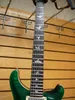 Hot Sell Sell Electric Guitar DGT David Grissom Tremelo Signature Model (1375) Musikinstrument